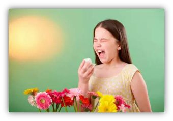 圖片1.png 圖片1.png