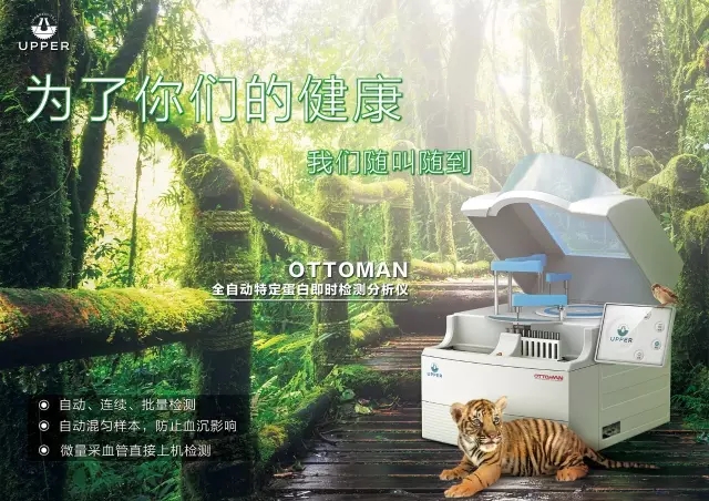 5.webp.jpg 5.webp.jpg