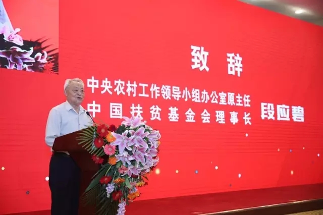 7.webp.jpg 7.webp.jpg