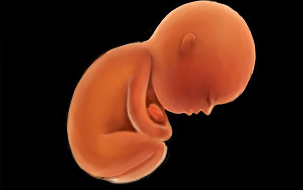 圖片1.png 圖片1.png