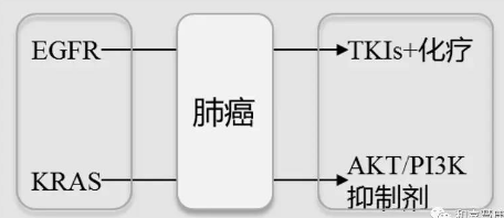 精準(zhǔn)醫(yī)療文內(nèi)圖1.png 精準(zhǔn)醫(yī)療文內(nèi)圖1.png