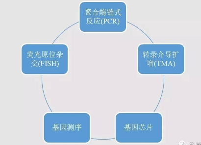 精準(zhǔn)醫(yī)療文內(nèi)圖2.png 精準(zhǔn)醫(yī)療文內(nèi)圖2.png