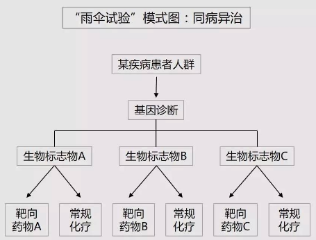 精準(zhǔn)醫(yī)療文內(nèi)圖5.png 精準(zhǔn)醫(yī)療文內(nèi)圖5.png