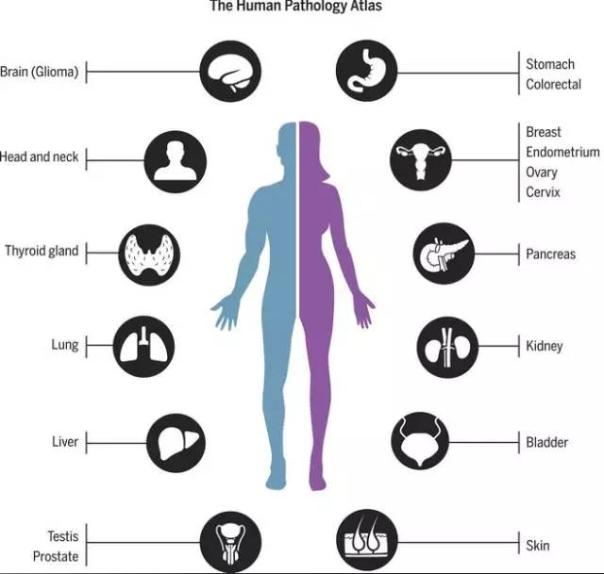science4.jpg science4.jpg