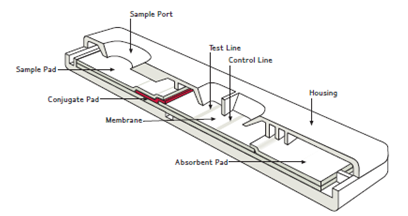 merk廣告大圖2.png merk廣告大圖2.png