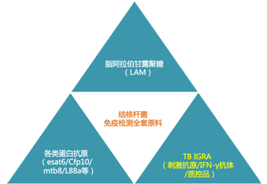 華葵.png 華葵.png