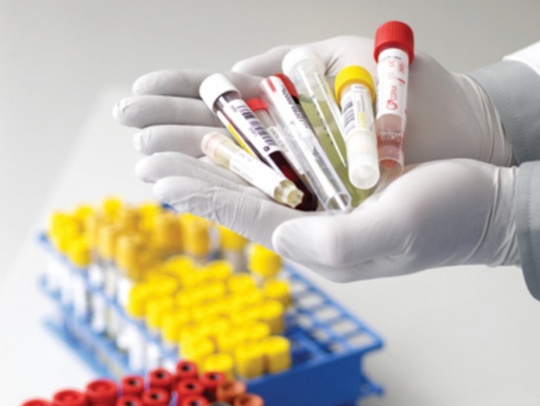 �C(j��)�� ����(zh��n)��D.png