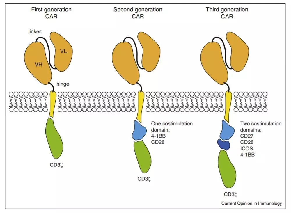 10.webp.jpg 10.webp.jpg