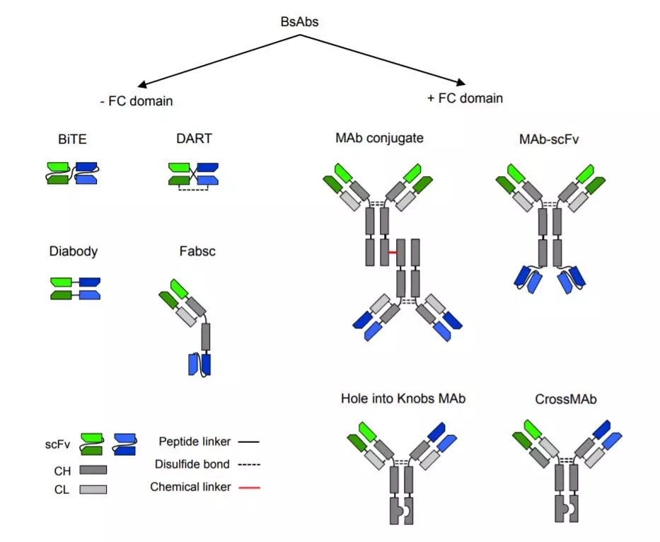 11.webp.jpg 11.webp.jpg