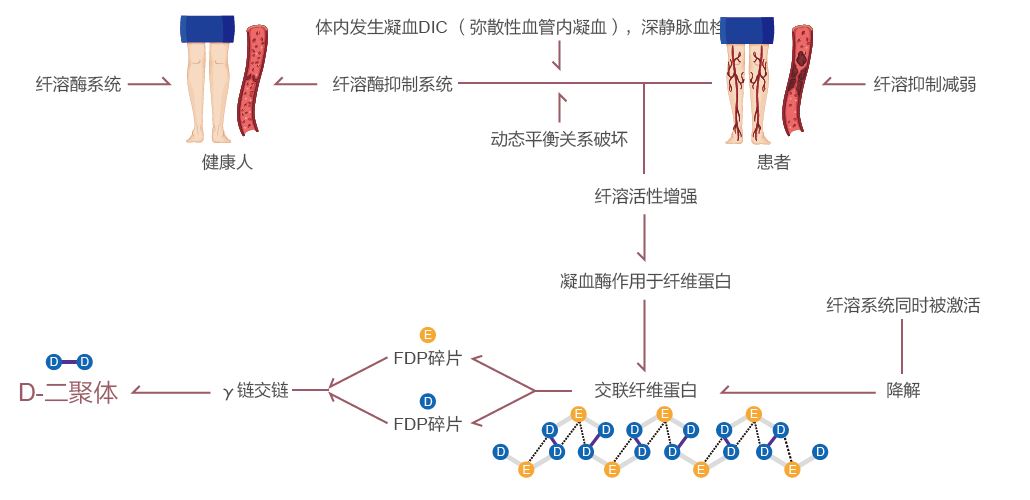 4. D-D�γ��^(gu��)��.JPG
