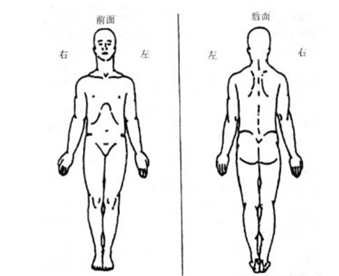 疼痛部位.png 疼痛部位.png