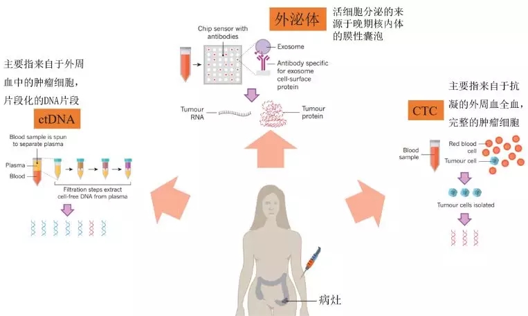 4.webp.jpg 4.webp.jpg