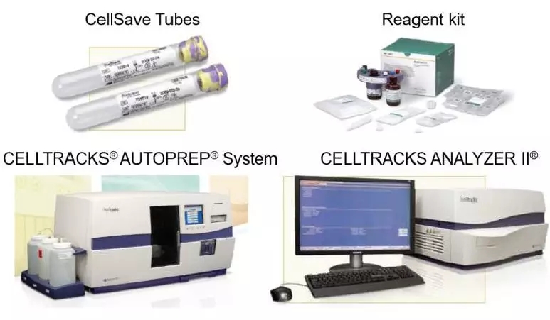 12.webp.jpg 12.webp.jpg