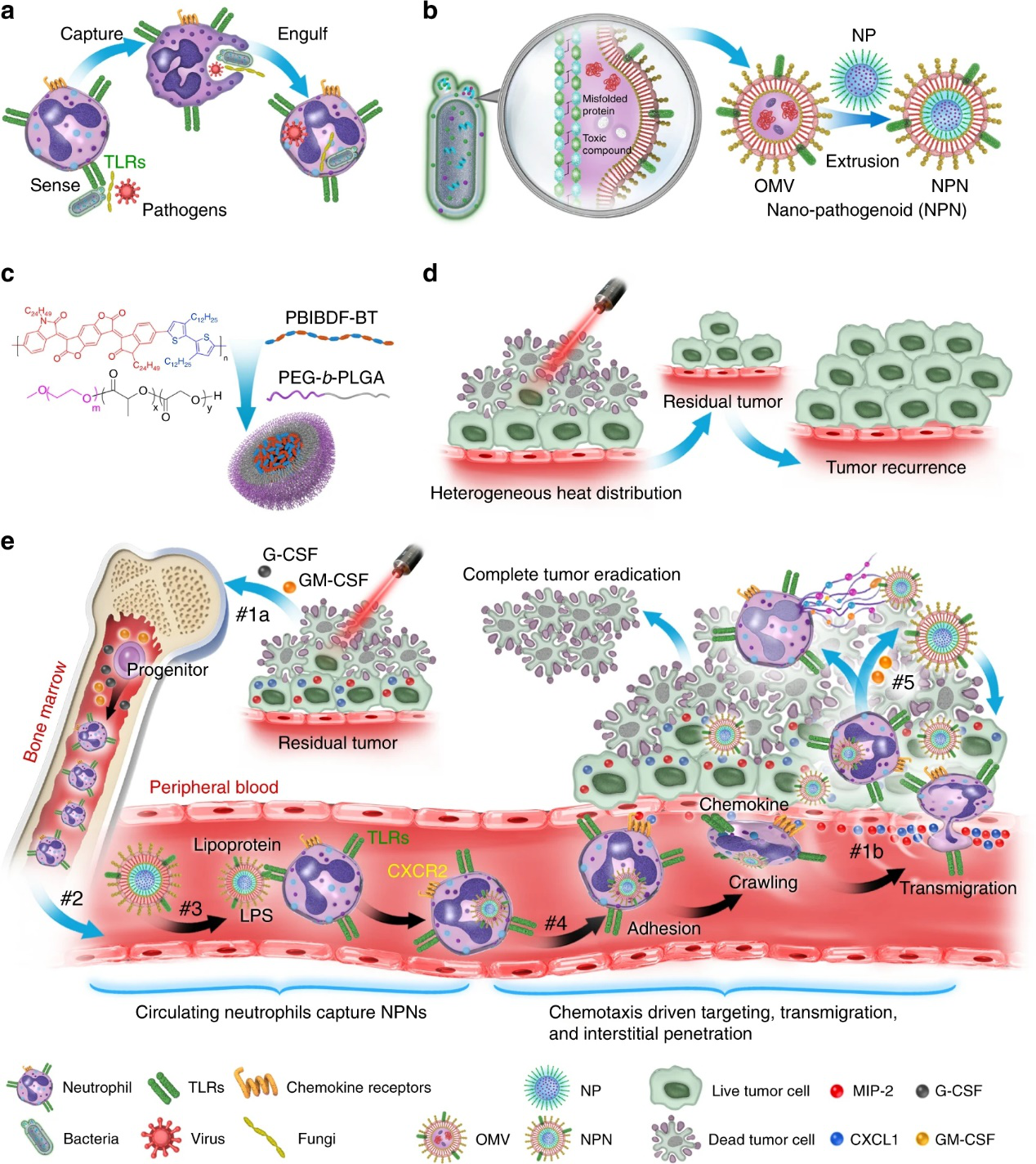 圖片123.png 圖片123.png