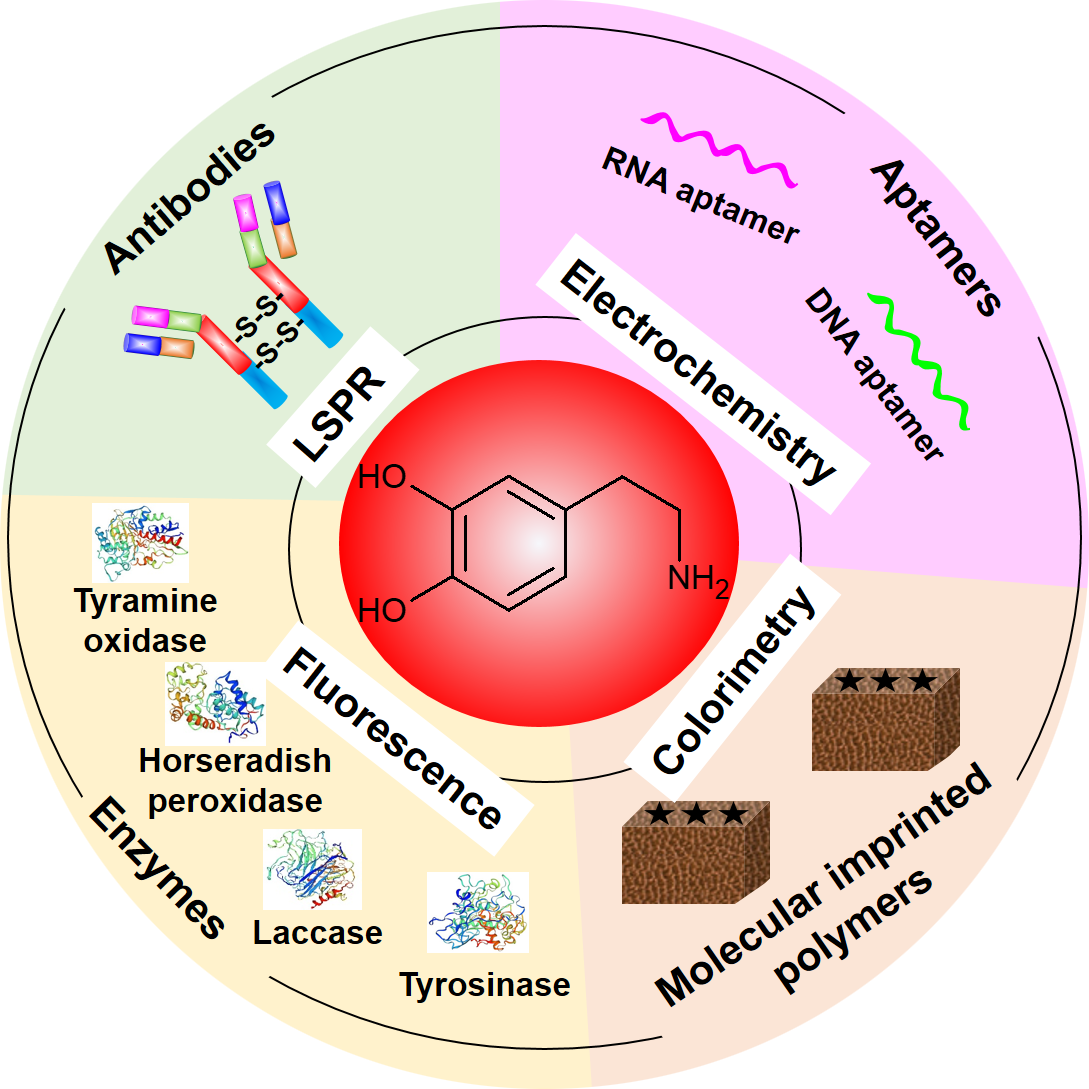 圖片1.png 圖片1.png