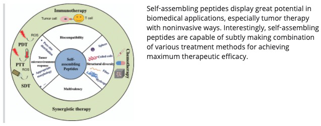 圖片2.png 圖片2.png