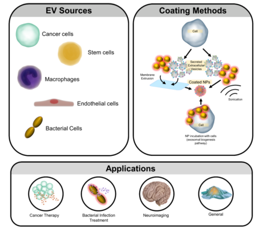 圖片11.png 圖片11.png