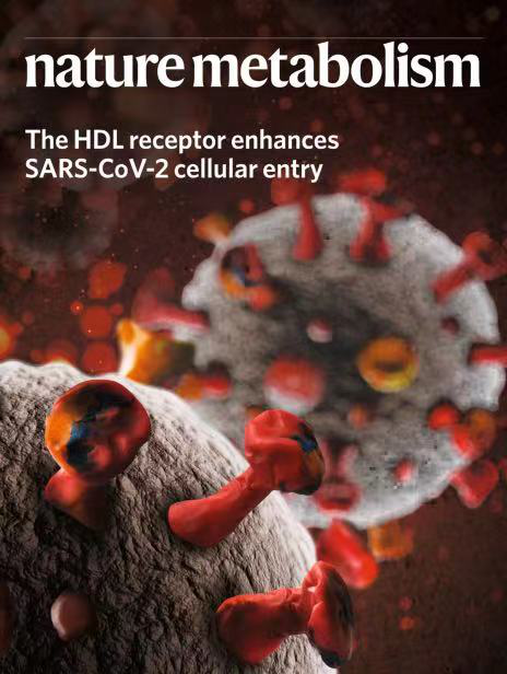 圖片2.png 圖片2.png