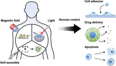 圖片1.png 圖片1.png