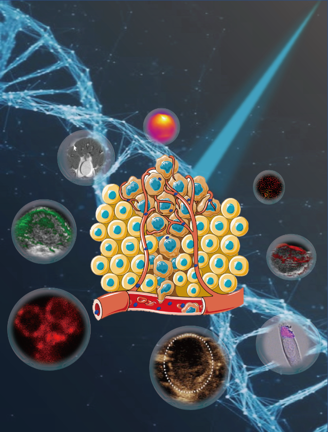 圖片1.png 圖片1.png