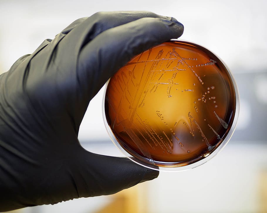 IVDƷuA®a(chn)I(y)x